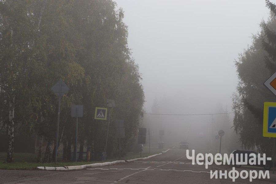 Чирмешән районында «яшел басып алучылар»га каршы сугыш игълан ителде