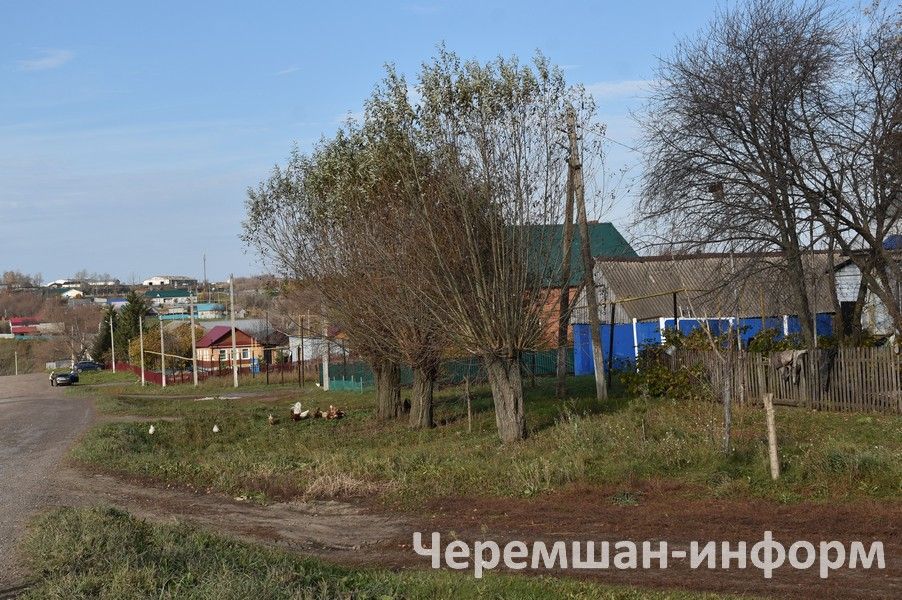 Туган як кушаматлары: нәсел тарихын саклаучы «халык паспорты»