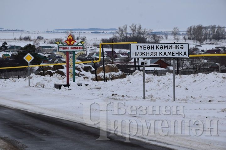 Түбән Кәминкә авыл җирлегендә 10 кече ферма эшли