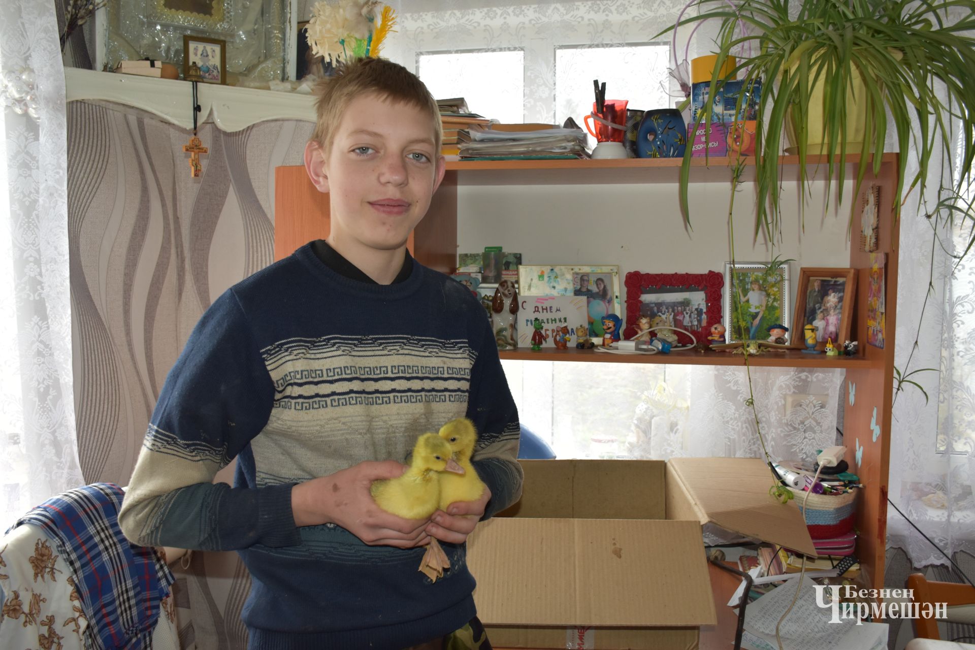 14-летний Володя Семайкин из Кутемы выводит гусят в инкубаторе