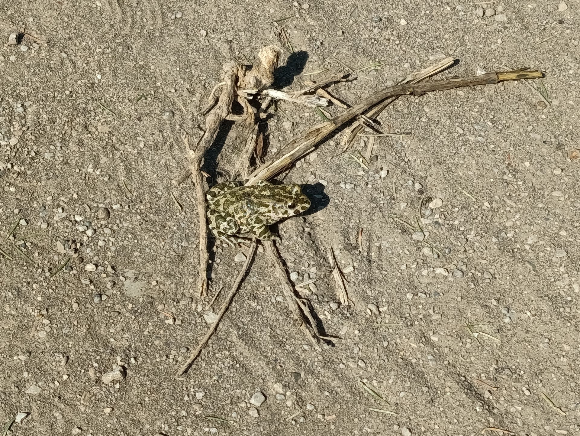 Народные приметы на 14 мая