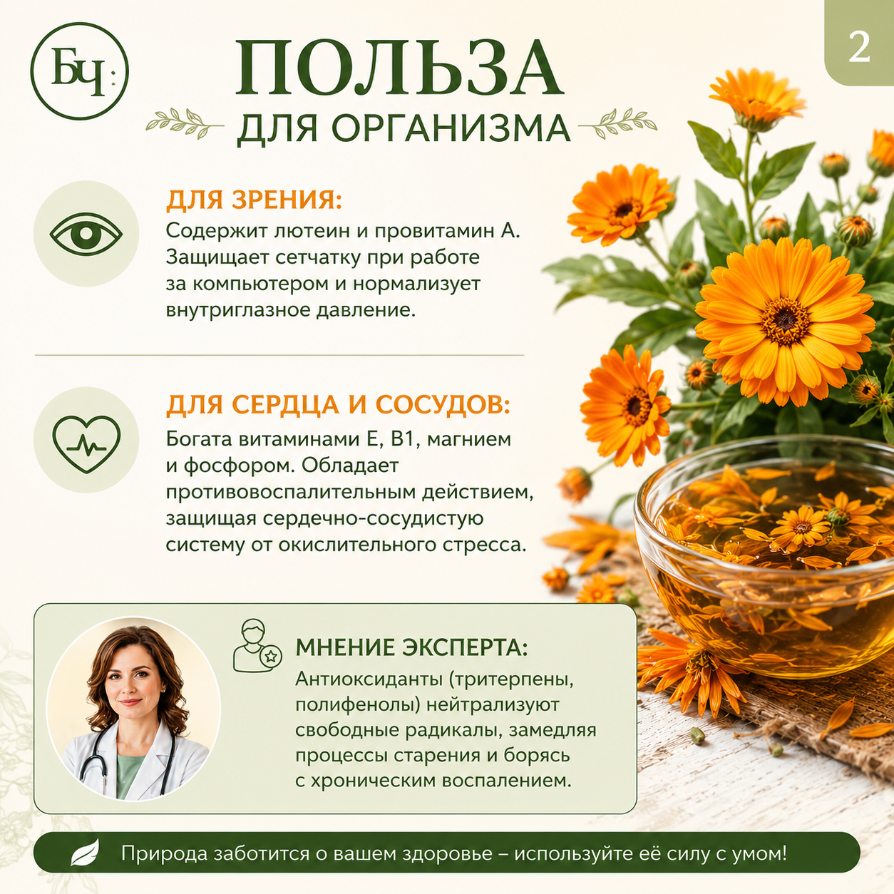 Календулы цветки