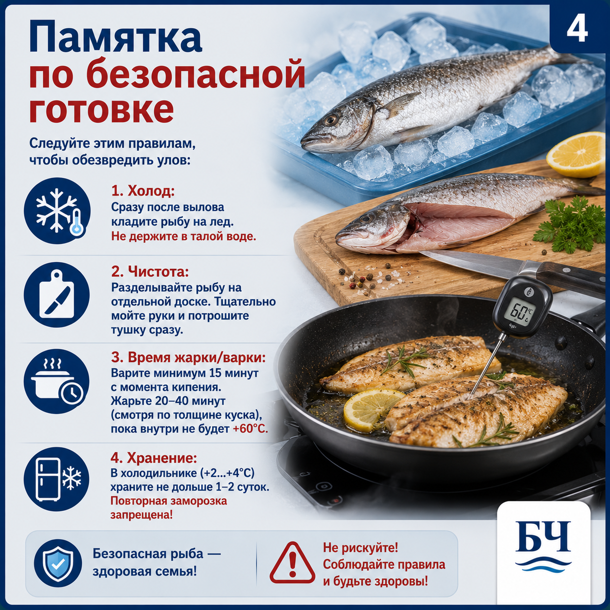 5 минут на чтение — годы здоровой жизни: памятка по рыбе (карточки)