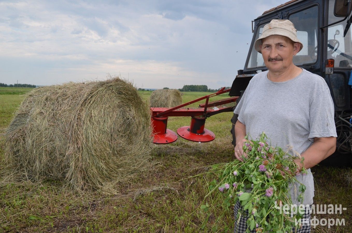 Туймәт фермерының әлегә 80 төргәк яңа печәне бар