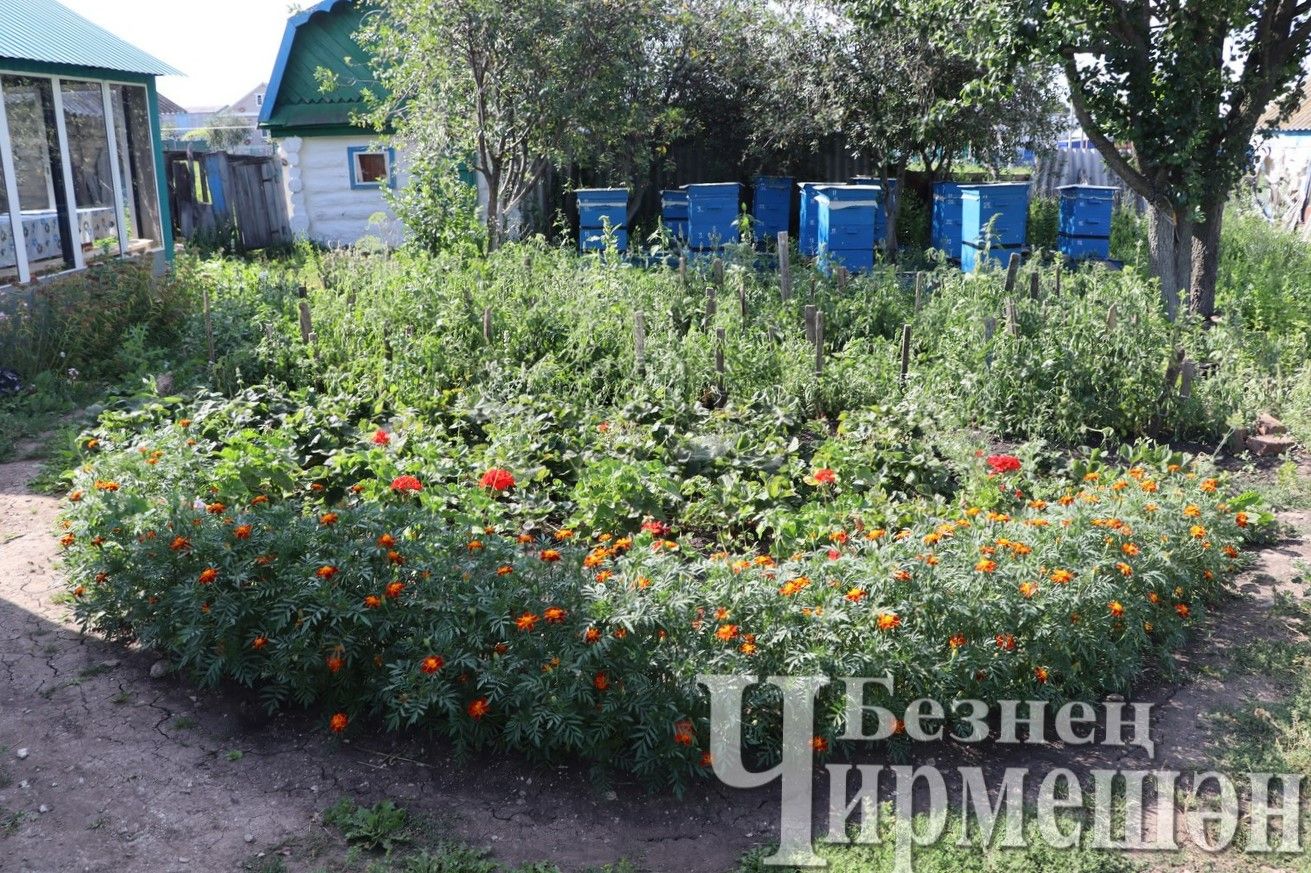 7 июльгә һава торышы