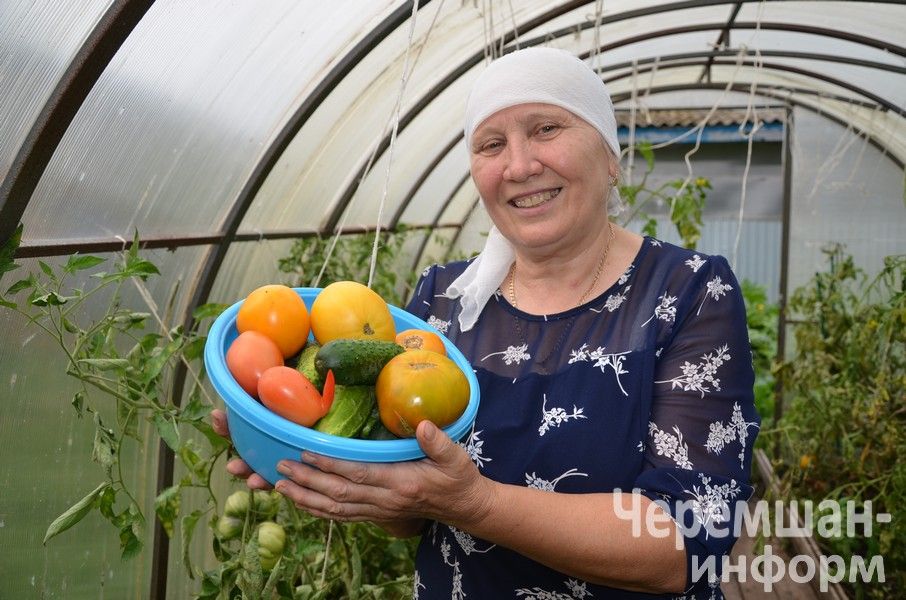 Ирина Ермолаева из Ульяновки очаровательной улыбкой выращивает килограммовые помидоры