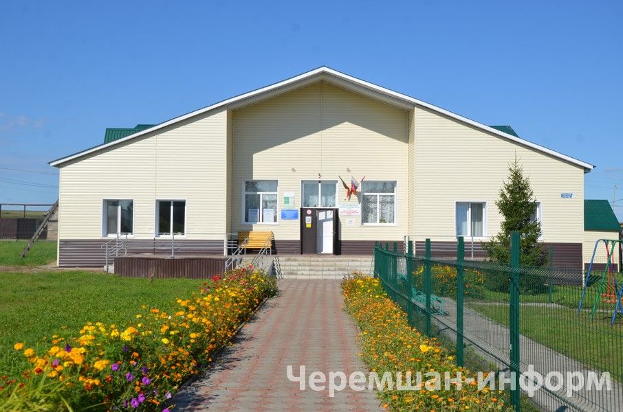 На улицах Карамышева стало много бездомных собак