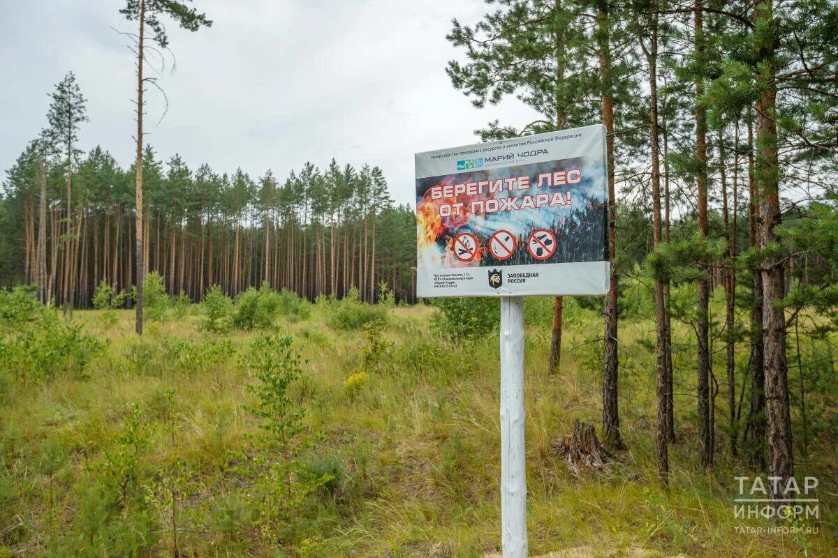 В Татарстане ведут мониторинг пожароопасной обстановки