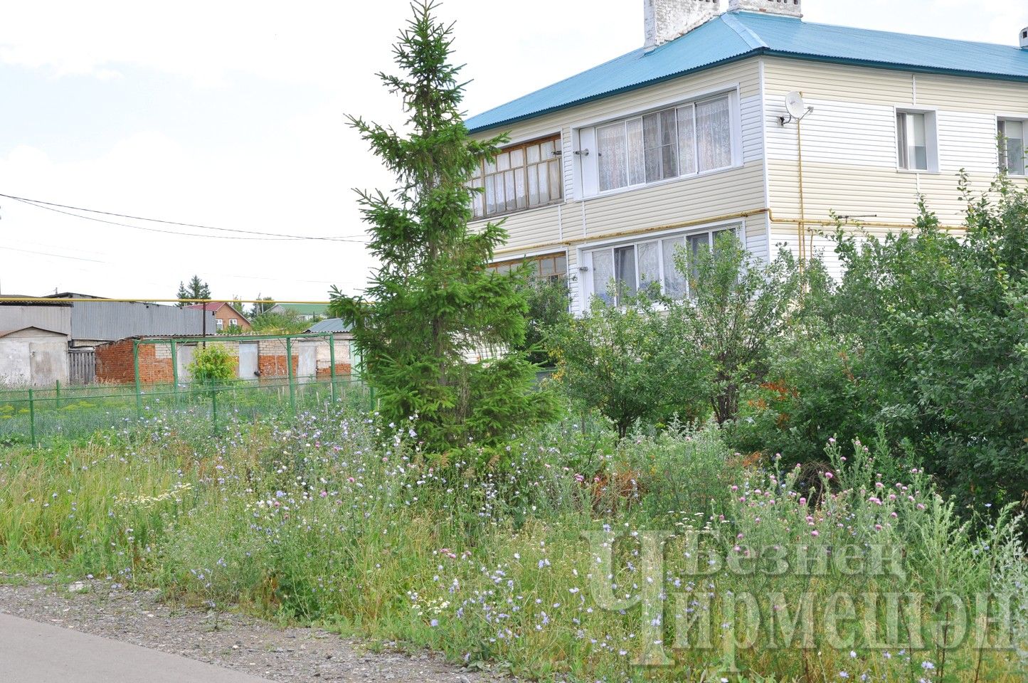 В Черемшане некоторые улицы заросли бурьяном. Есть и красивые дома  (ФОТОРЕПОРТАЖ)