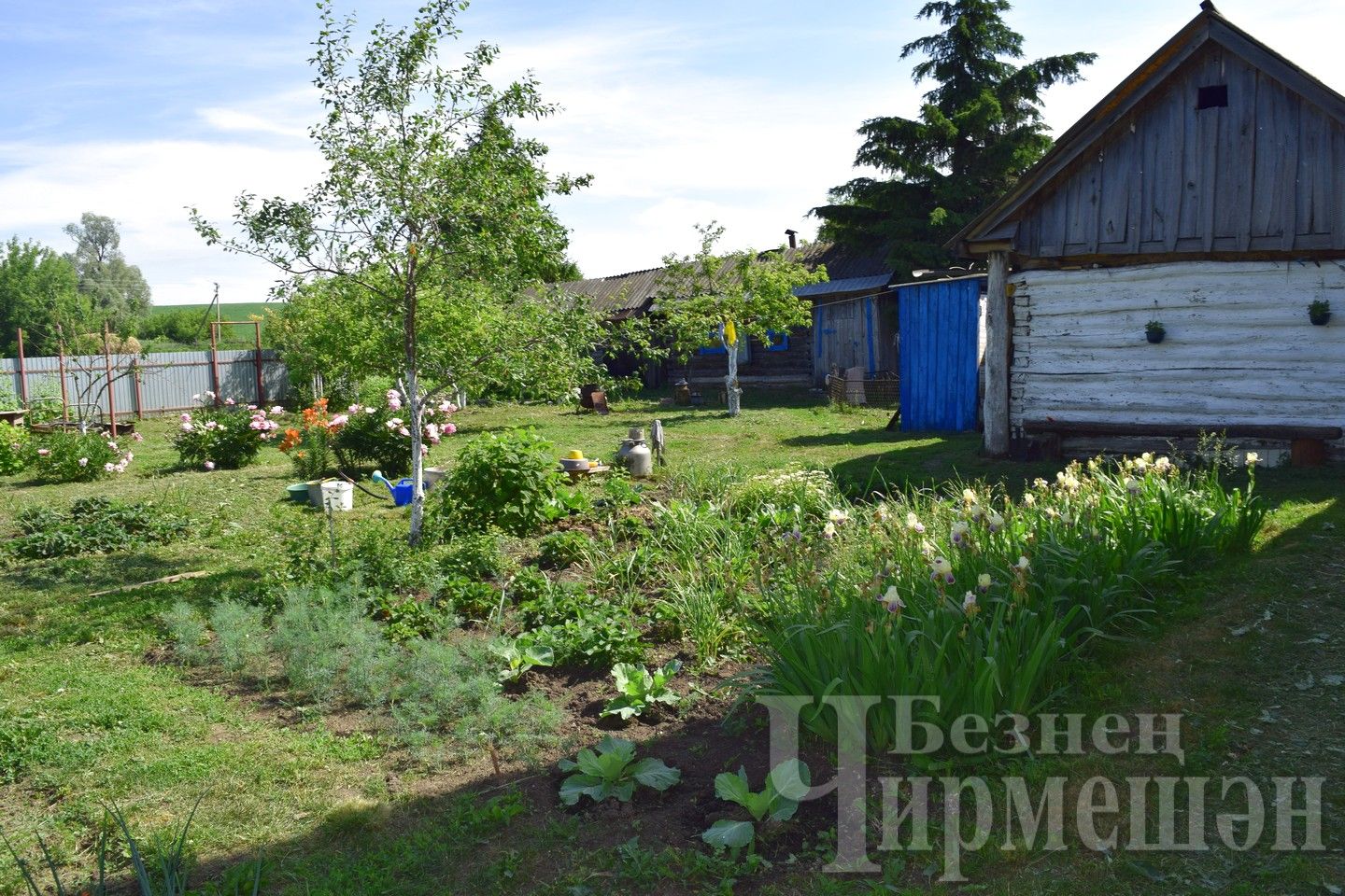 Родительский дом - начало начал (ФОТОРЕПОРТАЖ)