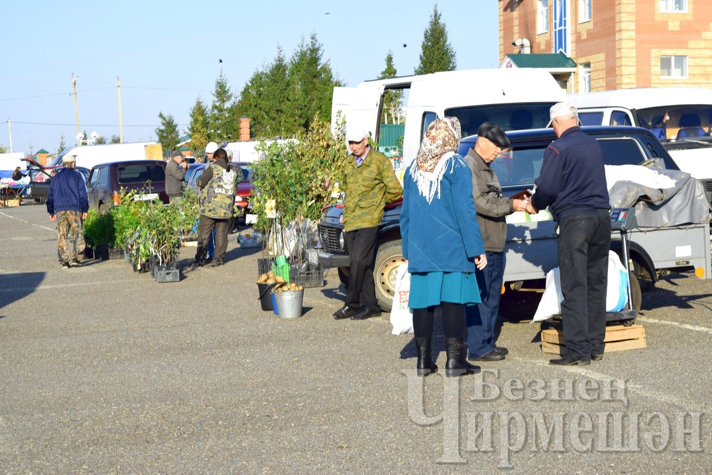На Черемшанской ярмарке продавали даже траву-душицу (ФОТОРЕПОРТАЖ)
