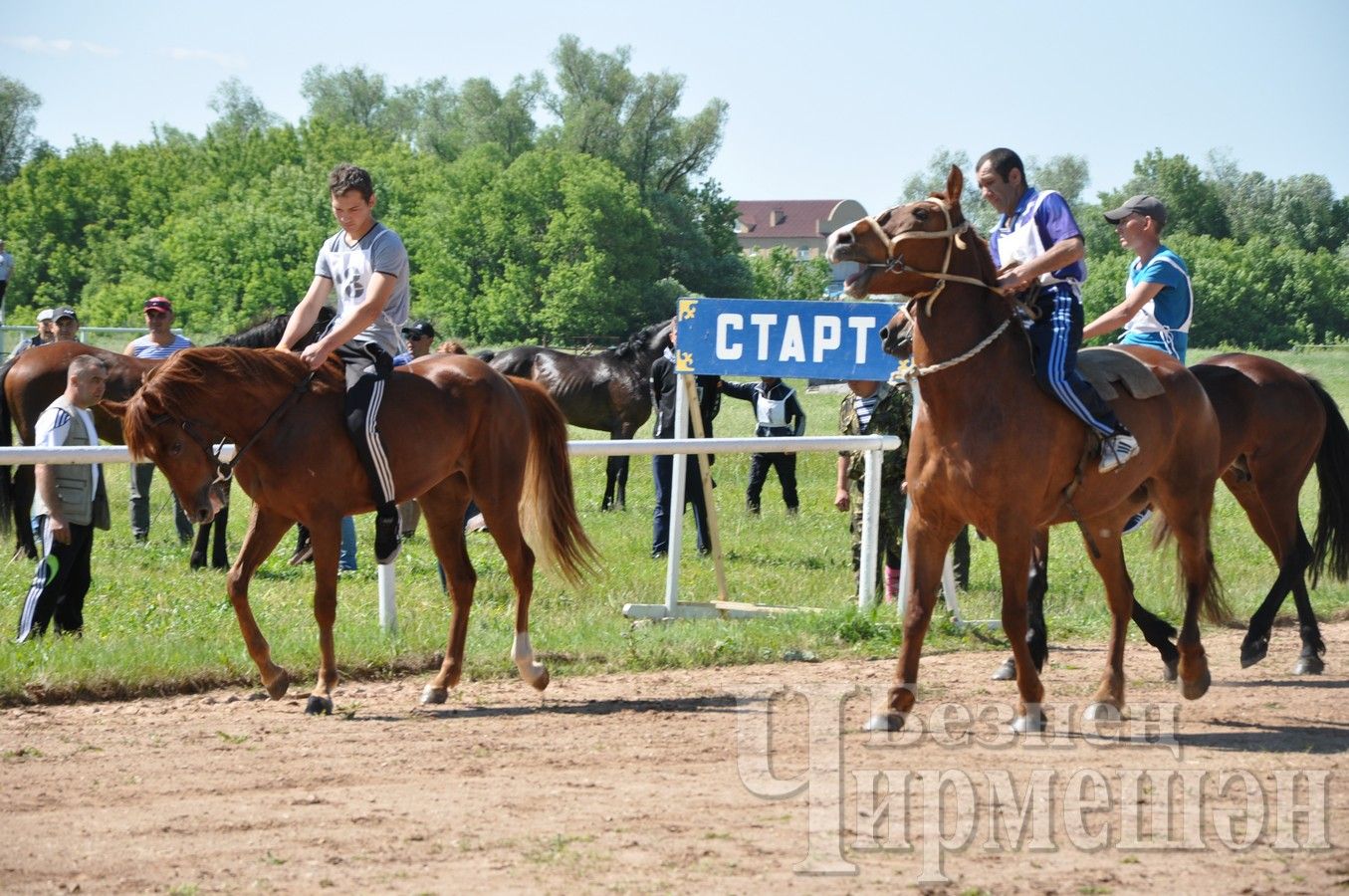 Сабантуй в Черемшане. Конные скачки (ФОТОРЕПОРТАЖ)