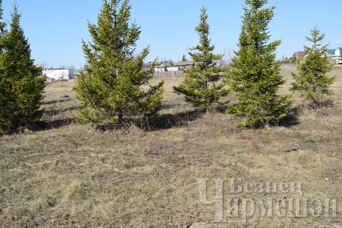 Черемшанцы уже вышли на субботник (ФОТОРЕПОРТАЖ)