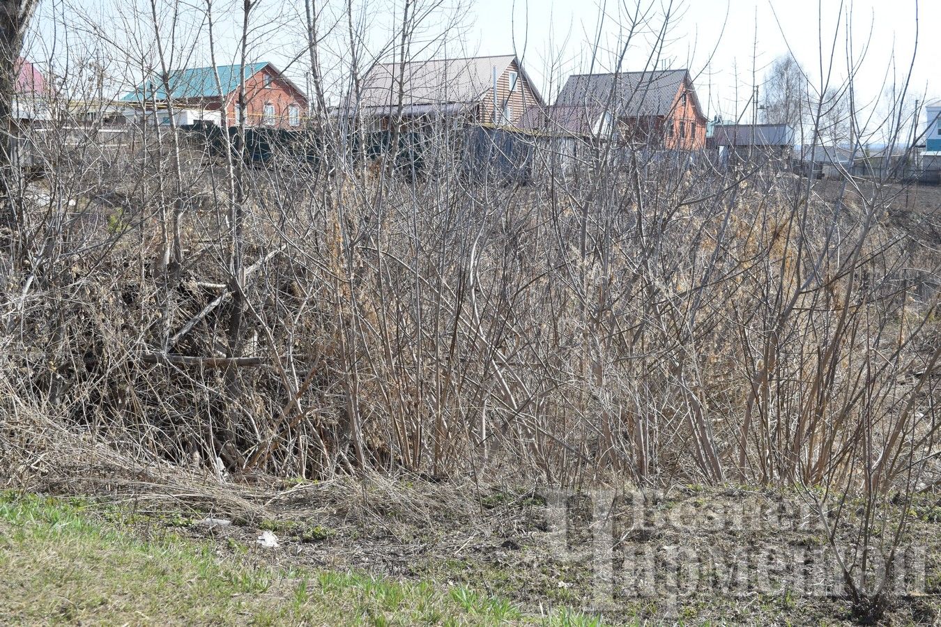 Черемшанцы уже вышли на субботник (ФОТОРЕПОРТАЖ)