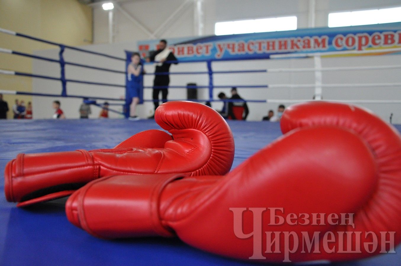 В Черемшане на ринг выходят молодые боксеры республики (ФОТОРЕПОРТАЖ)