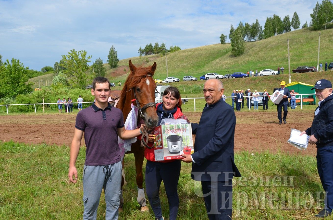На Черемшанском Сабантуе не было равных лошадям соседних районов (ФОТОРЕПОРТАЖ)