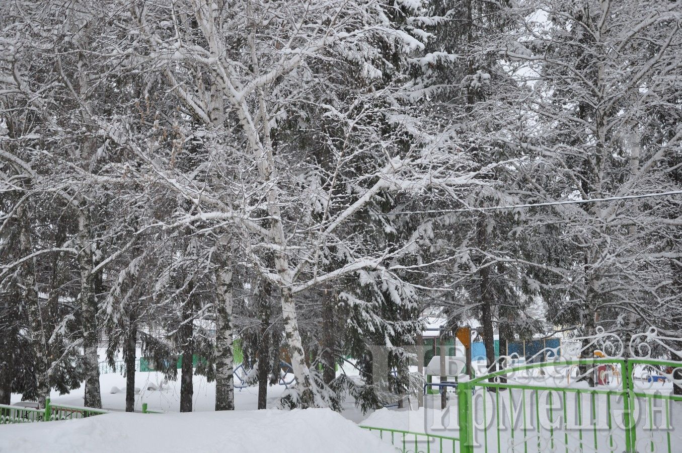 Чирмешәнне кар баскан (ФОТОРЕПОРТАЖ)