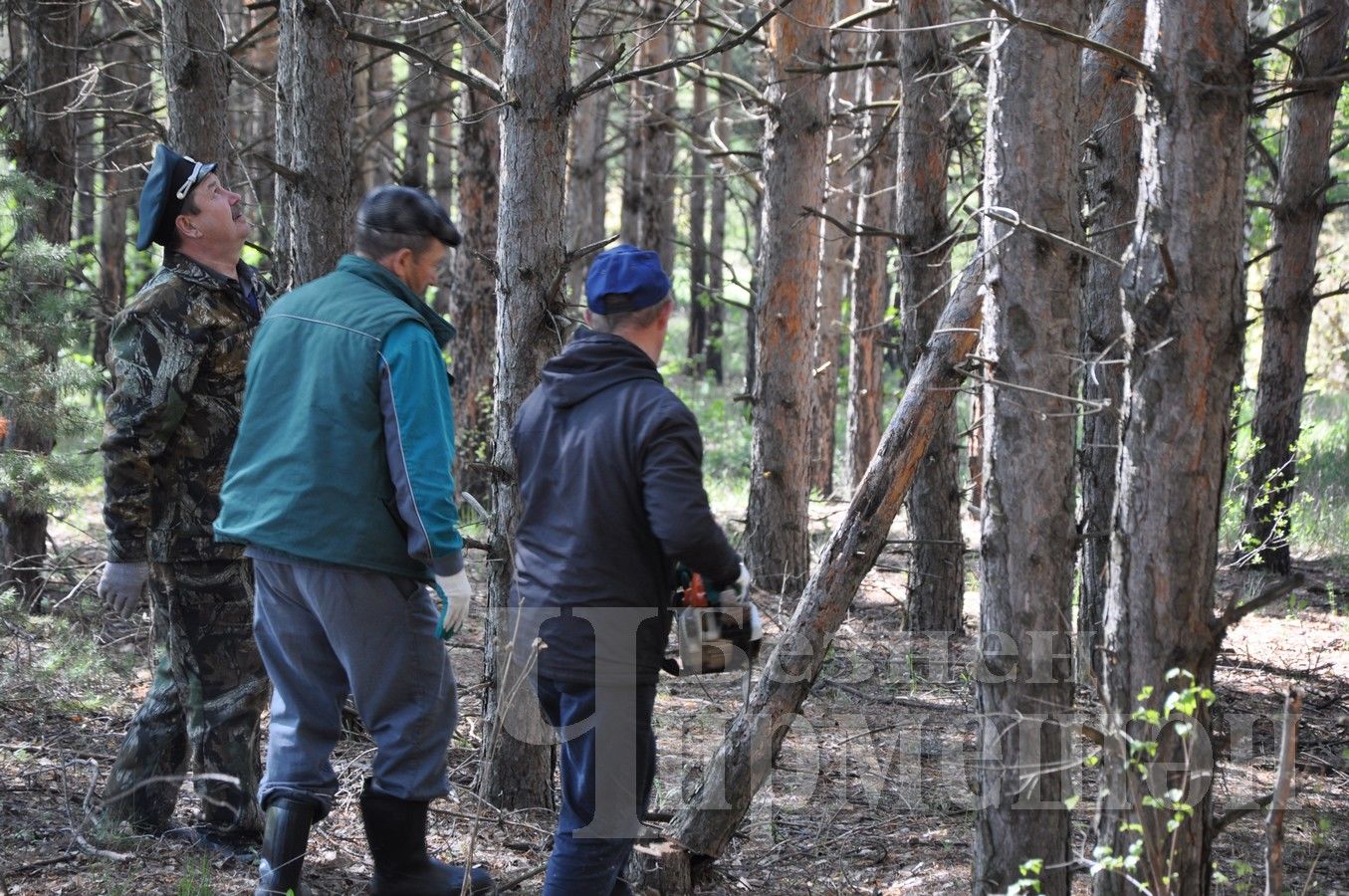 Черемшанские лесоводы вышли на субботник (ФОТОРЕПОРТАЖ)