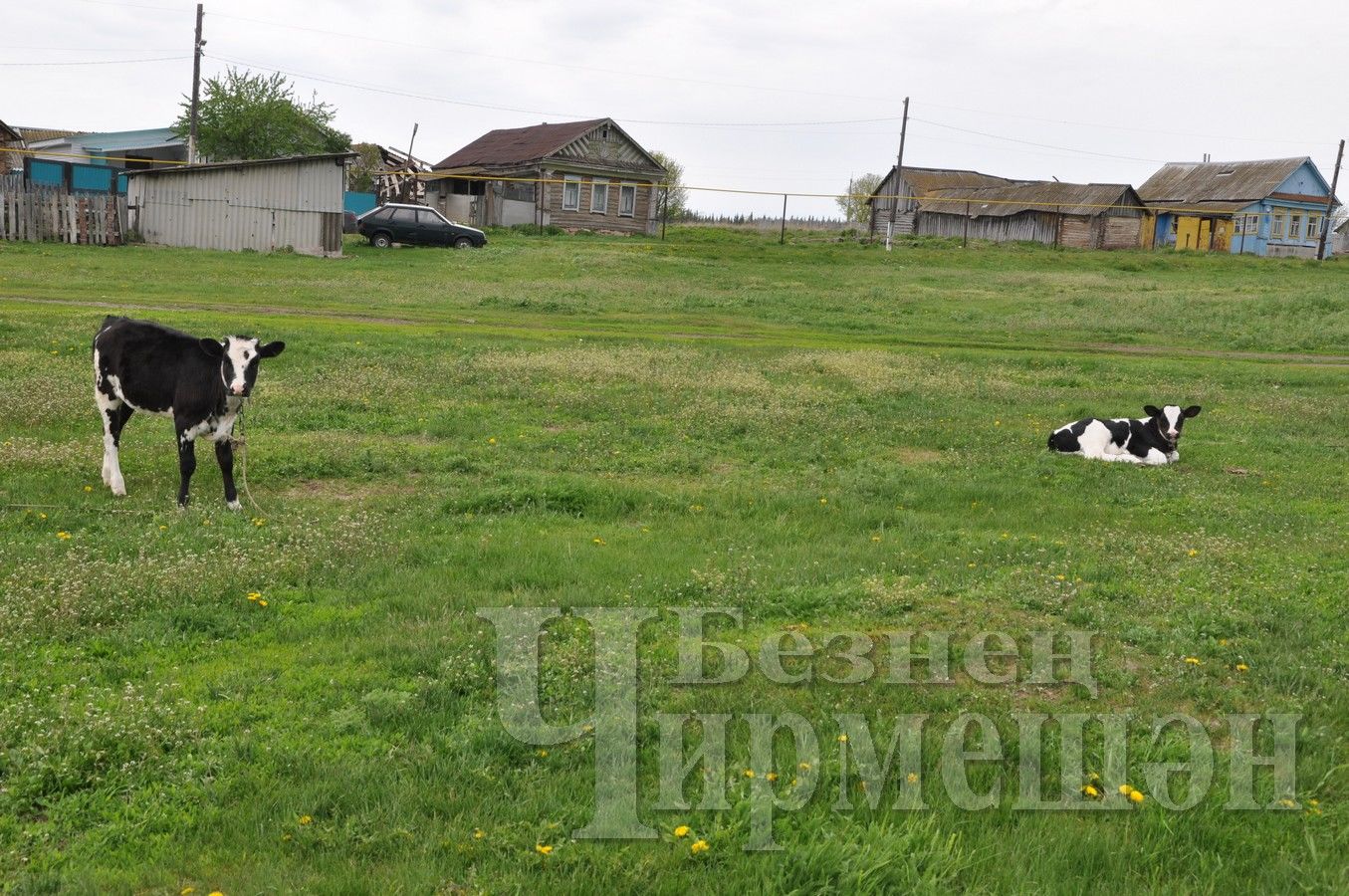 Ишлинкадан Петряковлар бик булдыклылар (ФОТОРЕПОРТАЖ)