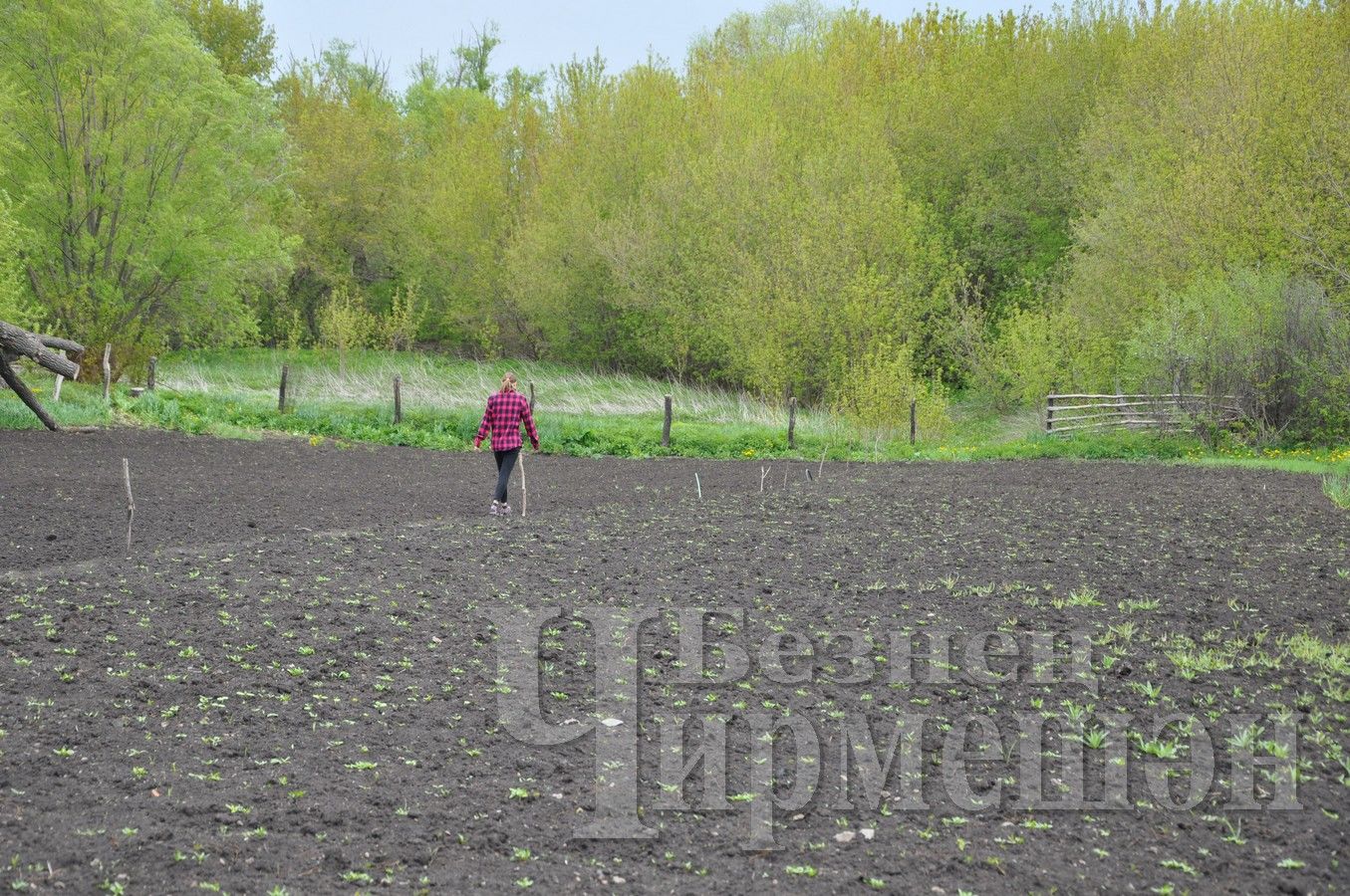 Ишлинкадан Петряковлар бик булдыклылар (ФОТОРЕПОРТАЖ)