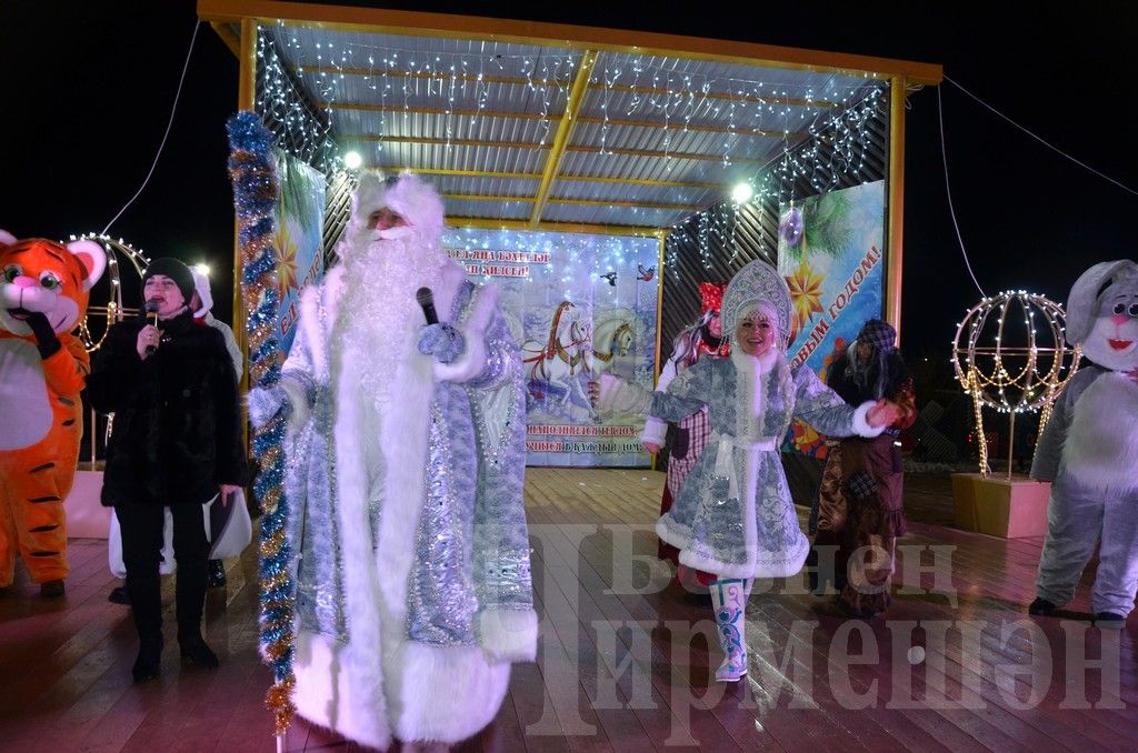 Торжество открытия центральной елки в Черемшане (ФОТОРЕПОРТАЖ)