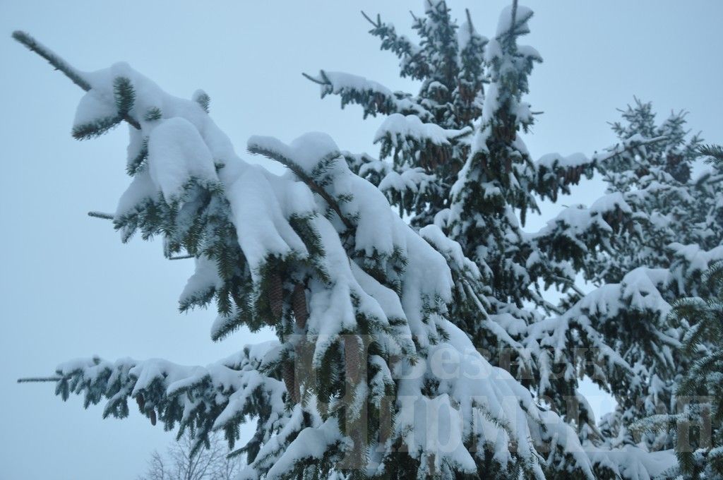 Сегодня утро черемшанцев началось с чистки снега (ФОТОРЕПОРТАЖ)