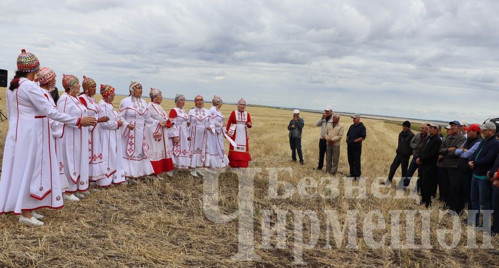 Чирмешән районында урак алдынгыларын хөрмәтләделәр (ФОТОРЕПОРТАЖ)