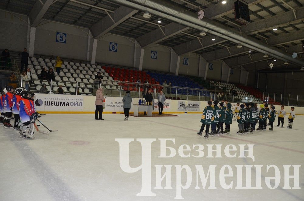 В Черемшане среди детей 2016 года рождения прошел хоккейный турнир "День Победы" (ФОТОРЕПОРТАЖ)