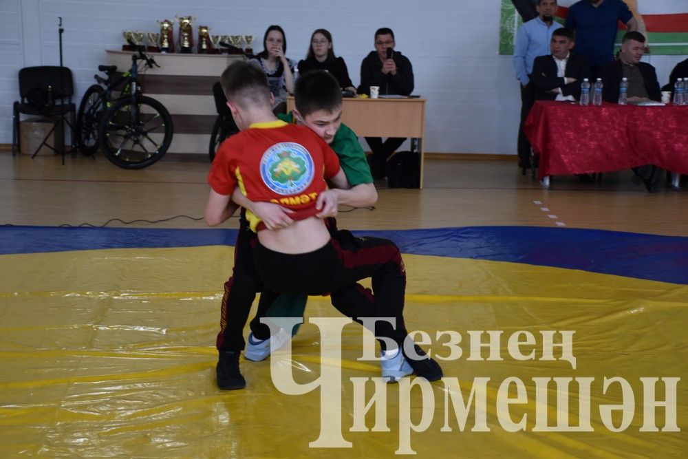 В Черемшане на турнире по борьбе в память об Ильясе Галимове приняли участие более 150 юных спортсменов (ФОТОРЕПОРТАЖ)
