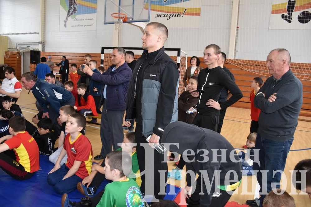 В Черемшане на турнире по борьбе в память об Ильясе Галимове приняли участие более 150 юных спортсменов (ФОТОРЕПОРТАЖ)