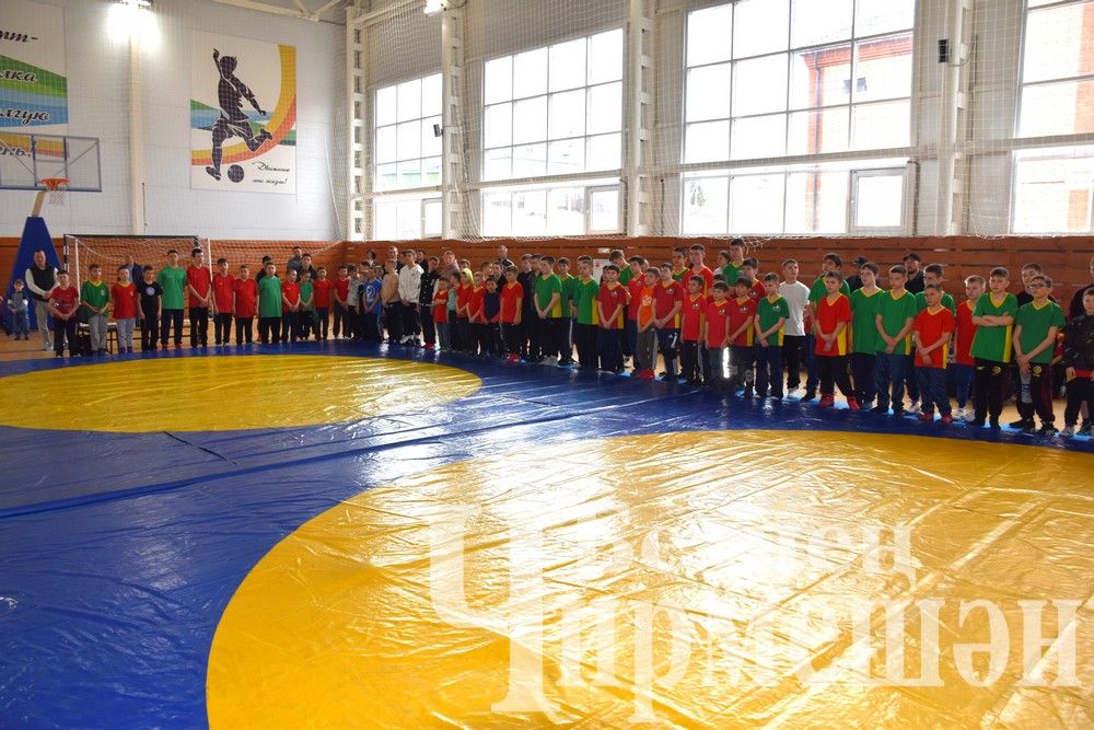 В Черемшане на турнире по борьбе в память об Ильясе Галимове приняли участие более 150 юных спортсменов (ФОТОРЕПОРТАЖ)