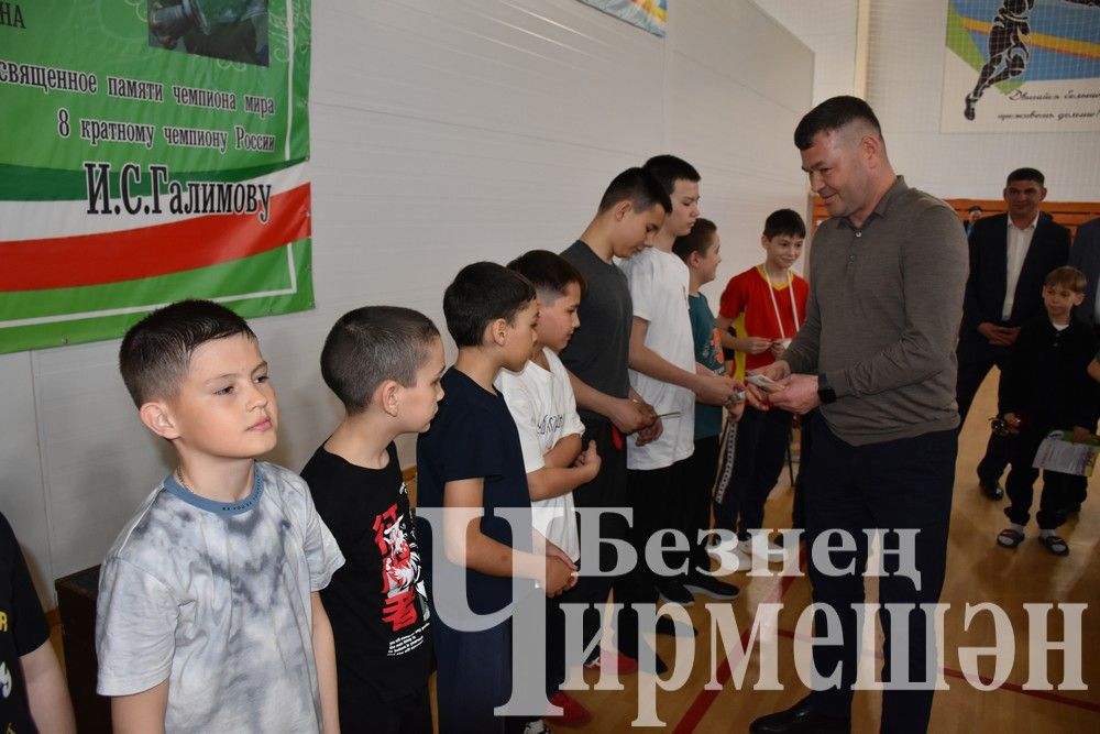 В Черемшане на турнире по борьбе в память об Ильясе Галимове приняли участие более 150 юных спортсменов (ФОТОРЕПОРТАЖ)