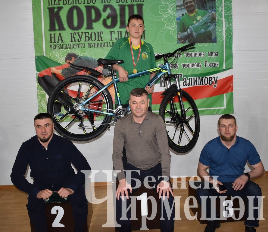 В Черемшане на турнире по борьбе в память об Ильясе Галимове приняли участие более 150 юных спортсменов (ФОТОРЕПОРТАЖ)