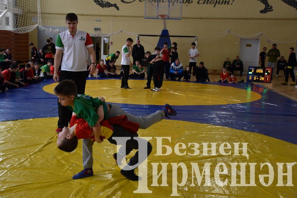 В Черемшане на турнире по борьбе в память об Ильясе Галимове приняли участие более 150 юных спортсменов (ФОТОРЕПОРТАЖ)