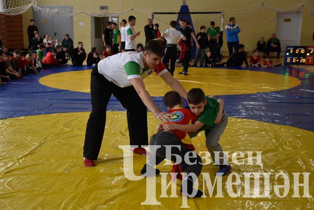 В Черемшане на турнире по борьбе в память об Ильясе Галимове приняли участие более 150 юных спортсменов (ФОТОРЕПОРТАЖ)
