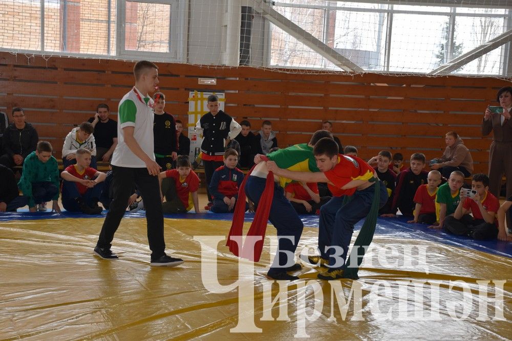 В Черемшане на турнире по борьбе в память об Ильясе Галимове приняли участие более 150 юных спортсменов (ФОТОРЕПОРТАЖ)