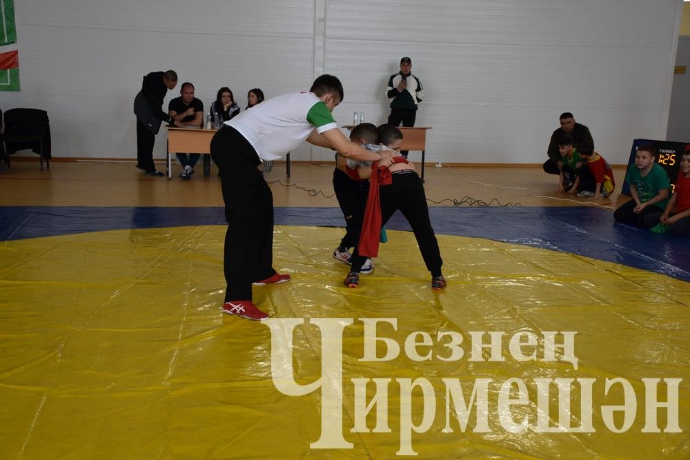 В Черемшане на турнире по борьбе в память об Ильясе Галимове приняли участие более 150 юных спортсменов (ФОТОРЕПОРТАЖ)