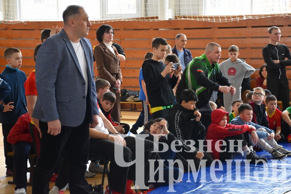 В Черемшане на турнире по борьбе в память об Ильясе Галимове приняли участие более 150 юных спортсменов (ФОТОРЕПОРТАЖ)