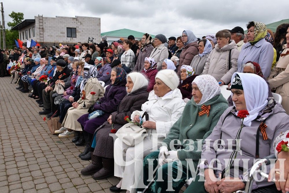 Празднование Дня Великой Победы в Черемшане (2 часть, ФОТОРЕПОРТАЖ)