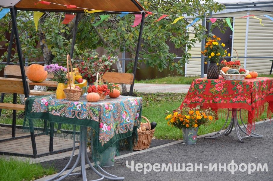 Двойной праздник в Черемшане: тепло души и новые дороги (ФОТОРЕПОРТАЖ)