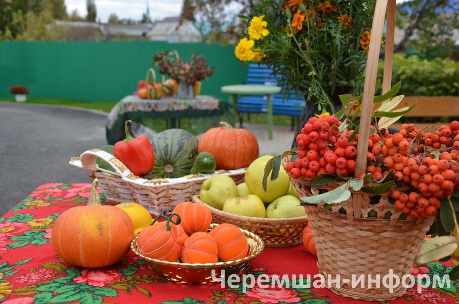 Двойной праздник в Черемшане: тепло души и новые дороги (ФОТОРЕПОРТАЖ)