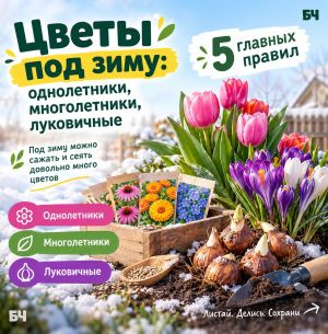 Время подготовки  к новому дачному сезону