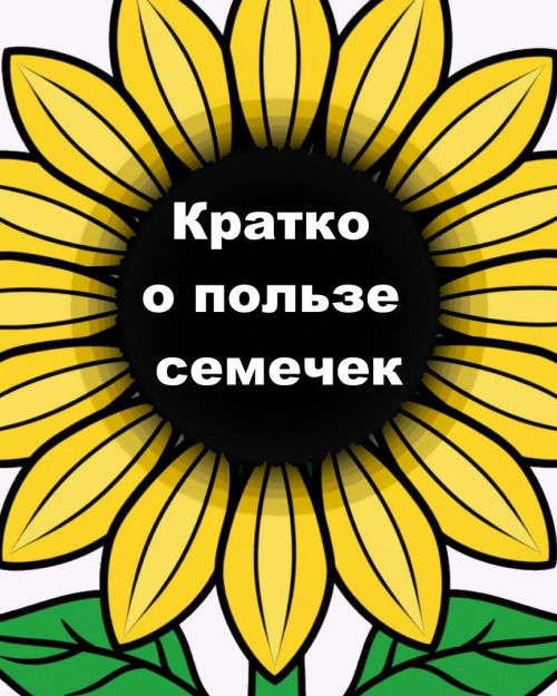 Щелкаем на здоровье: чем полезны обычные семечки? (карточки)