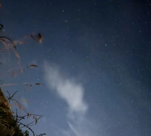 12 августа — в народе отмечают Силин день