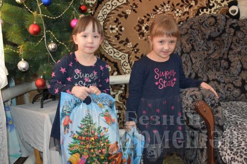 Түбән Чегодайдан Диләрә Хөснетдинованың Яңа ел теләге тормышка ашты