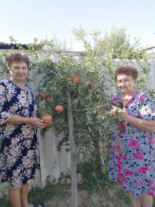 Түбән Кәминкәгә Үзбәкстаннан кунаклар кайткан