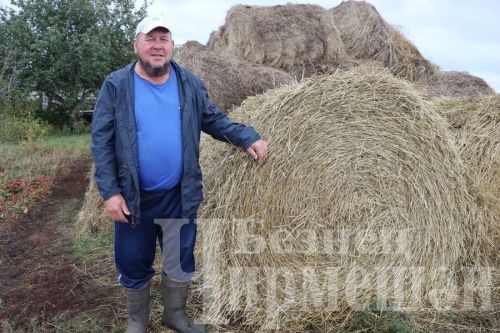 Кара Чишмәдә яшәүче якташыбызга кияве күп сөтле сыер кайтарткан