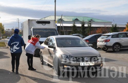Чирмешәнлеләр “ВСЕ СВОИ” акциясенә кушылдылар