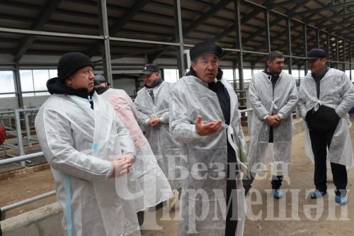 “Ильхан” җәмгыятендә бер сыер елга 300 мең сум файда китерә