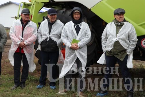 “Ильхан” җәмгыятендә бер сыер елга 300 мең сум файда китерә